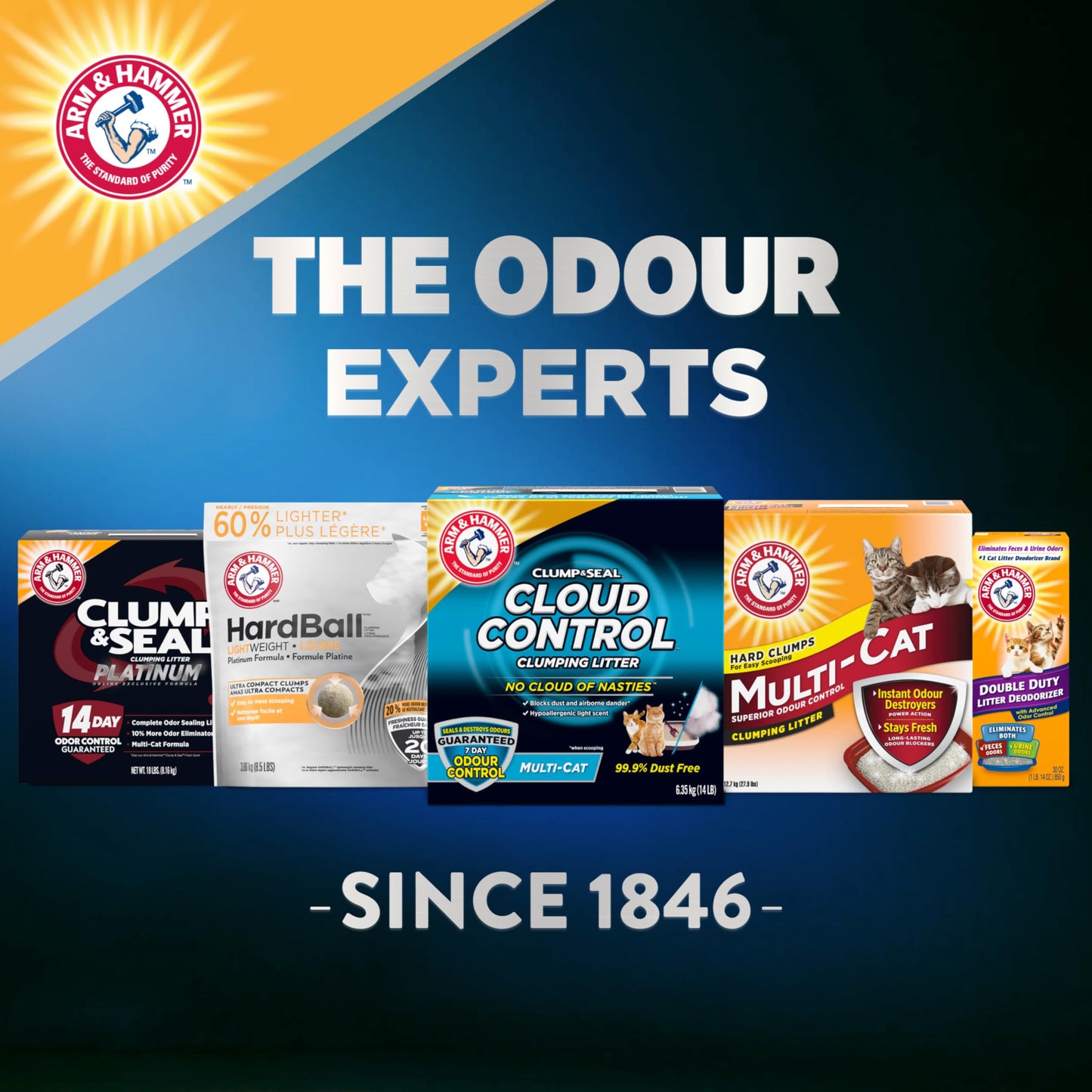 ARM & HAMMER Platinum Cat Litter, Cloud Control, Extra Strength with 14 Days of Odour Control, Multi-Cat Clumping Cat Litter with Hypoallergenic Light Scent, 12.47kg (Pack of 1)