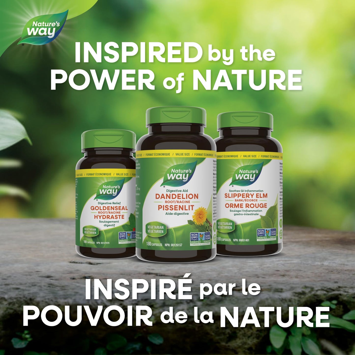 Nature's Way Dandelion Root - Digestion Supplement – Diuretic Laxative - Non-GMO Verified - 180 Vegetarian Capsules, Value Size Nature's Way