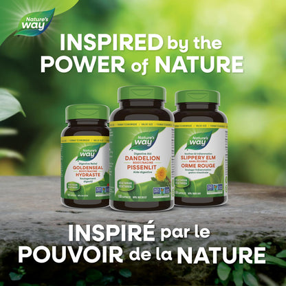 Nature's Way Dandelion Root - Digestion Supplement – Diuretic Laxative - Non-GMO Verified - 180 Vegetarian Capsules, Value Size Nature's Way