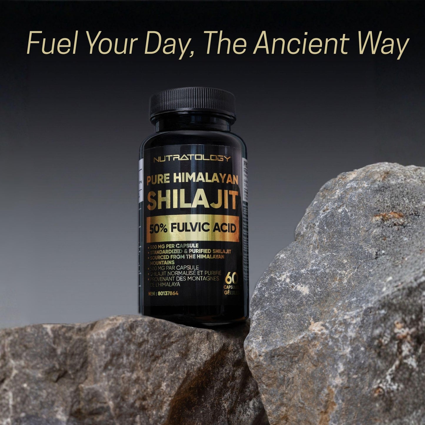 Nutratology® Pure Shilajit Capsules | 50% Fulvic Acid | High Potency & Purity - Sourced from the Himalayan Mountains - Shilajit for Men & Women - 60 Count - Available at All In One Marketplace Canada