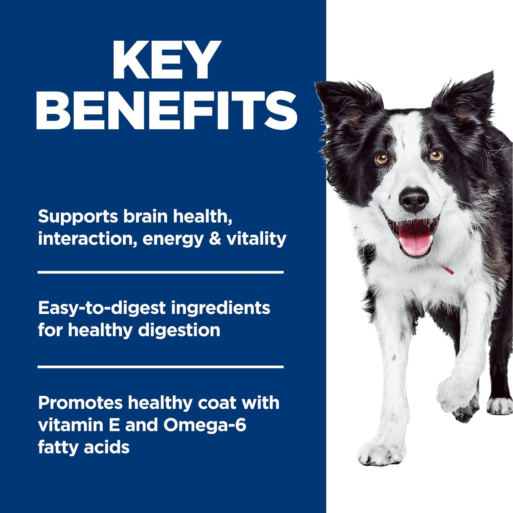 Hill's Science Diet Senior 7+ Senior Vitality Chicken & Rice Recipe Dry Dog Food 9.8 kg Bag Hill's Science Diet