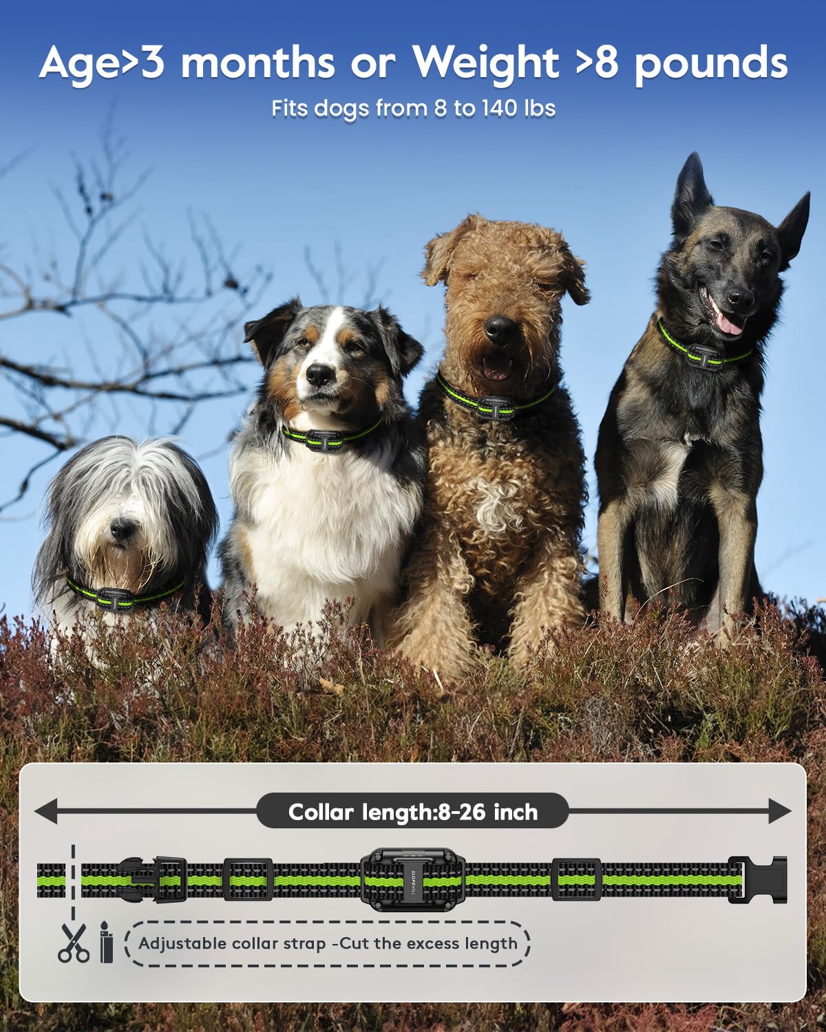 SLOPEHILL Dog Training Collar with Remote,4200Ft Electronic Shock Collars,Waterproof E-Collar Featuring Beep,Vibration,Shock,Light and Keypad Lock Mode,fit for Small Medium Large Dogs (Green) - Available at All In One Marketplace Canada