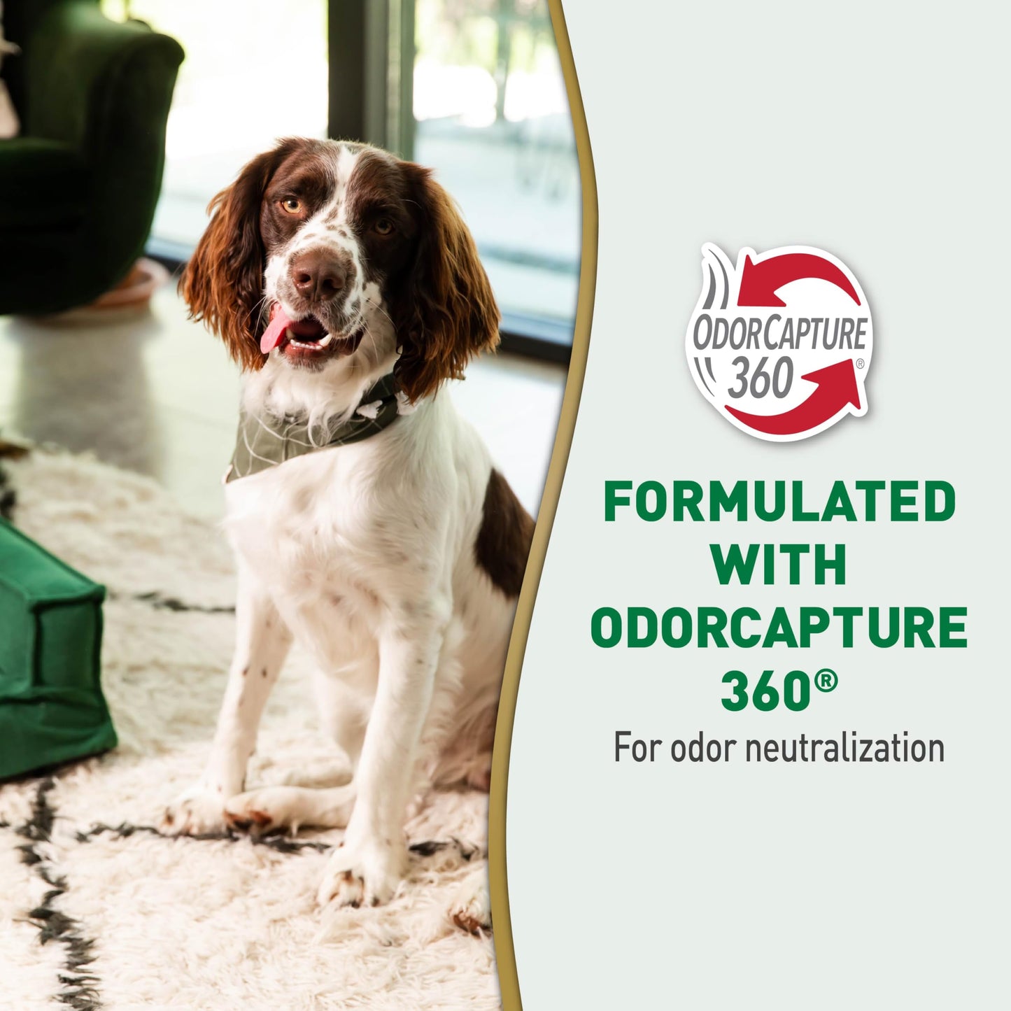 Nature's Miracle Urine Destroyer Plus For Dogs With Flip & Go Sprayer, 64 Ounces, Enzymatic Formula For Dogs Powers Out Tough Dog Urine Messes And Yellow, Sticky Residue Nature's Miracle