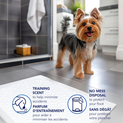 Scott Pet Guard Dog Pads, 12 Hour Odor Control, Large, 22" x 22", 50-Pack Scott