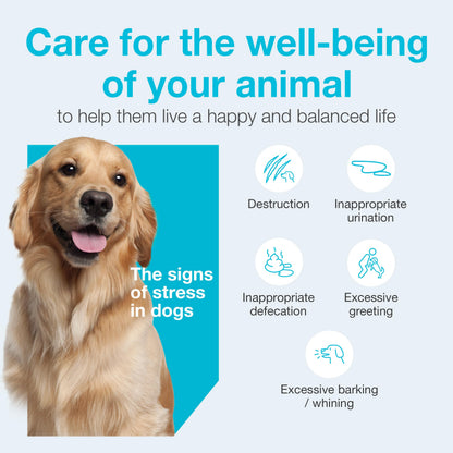 Vetoquinol Zylkene – Veterinary Health Product - Calm and Relaxed Behaviour in Pets During Stressful Events - 75 mg - Cats and Small Dogs - 30 Caps