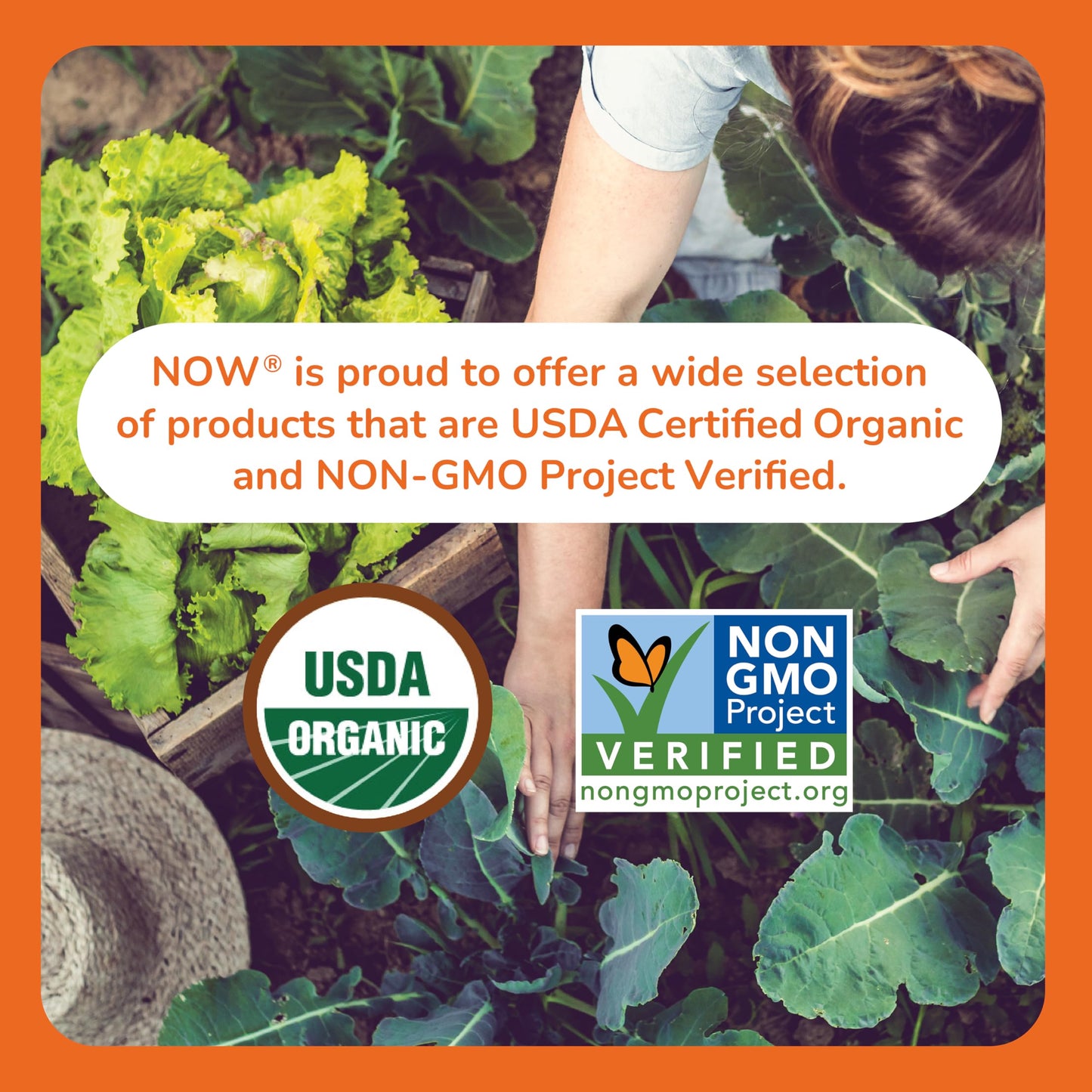 NOW Supplements, D-Mannose Powder, Non-GMO Project Verified, Healthy Urinary Tract*, 85g NOW
