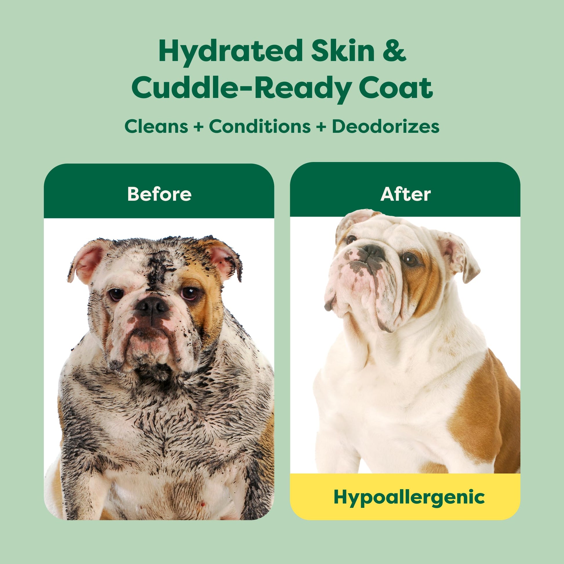 Earth Rated (A Canadian Company), 3-in-1 Soothing Dog Shampoo and Conditioner, Deodorizing Oatmeal Shampoos for Dogs and Puppies, Great for Smelly Pets, White Tea and Basil Scent, 473 ml
