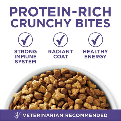 Purina ONE +Plus Dry Cat Food, Hairball Formula Chicken - 3 kg Bag