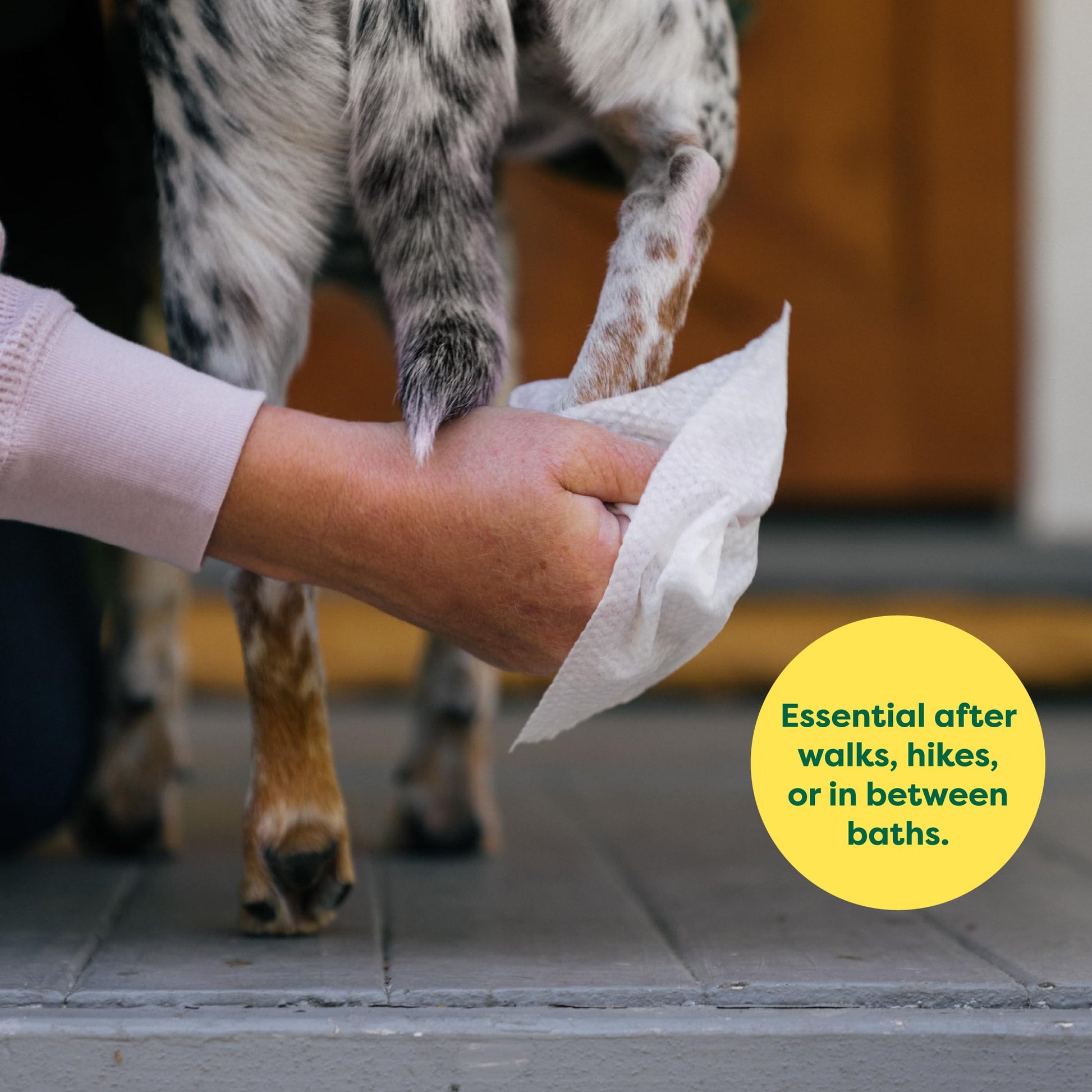 Earth Rated (A Canadian Company) Dog Wipes, Hypoallergenic, Cleaning and Hydrating, for Grooming Paws, Body and Butt, Lavender Scented, 400 Count