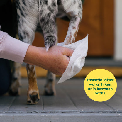 Earth Rated (A Canadian Company) Dog Wipes, Hypoallergenic, Cleaning and Hydrating, for Grooming Paws, Body and Butt, Lavender Scented, 400 Count