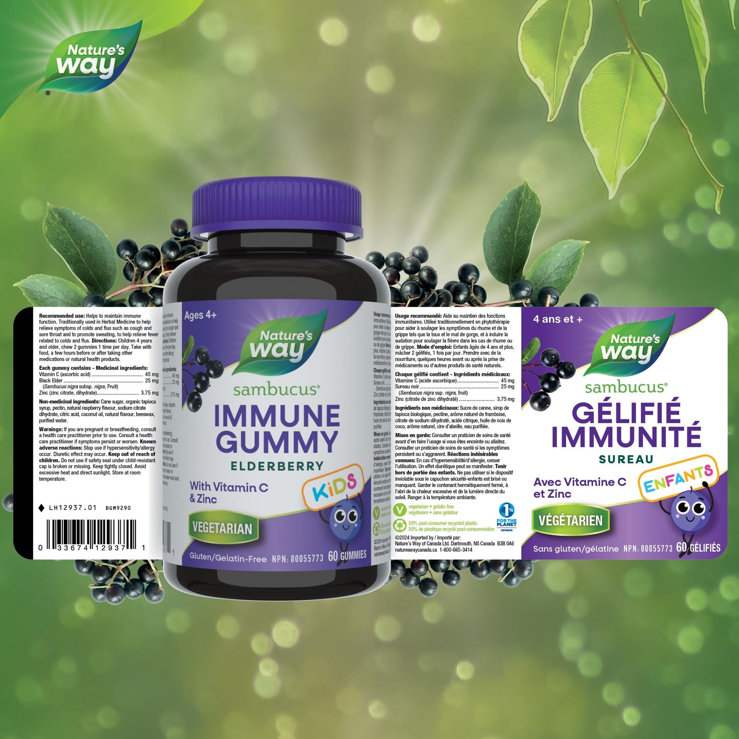 Nature's Way Sambucus Immune Cold and Flu Care Elderberry Gummies with Vitamin C and Zinc - Immune Support for Kids 4+, 60 Gummies - Available at All In One Marketplace Canada