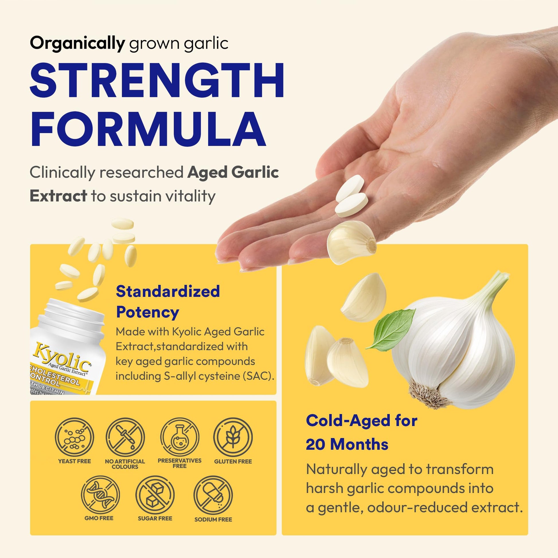 Kyolic Formula 104 Aged Garlic Extract, Odourless Garlic, 360 Capsules Kyolic