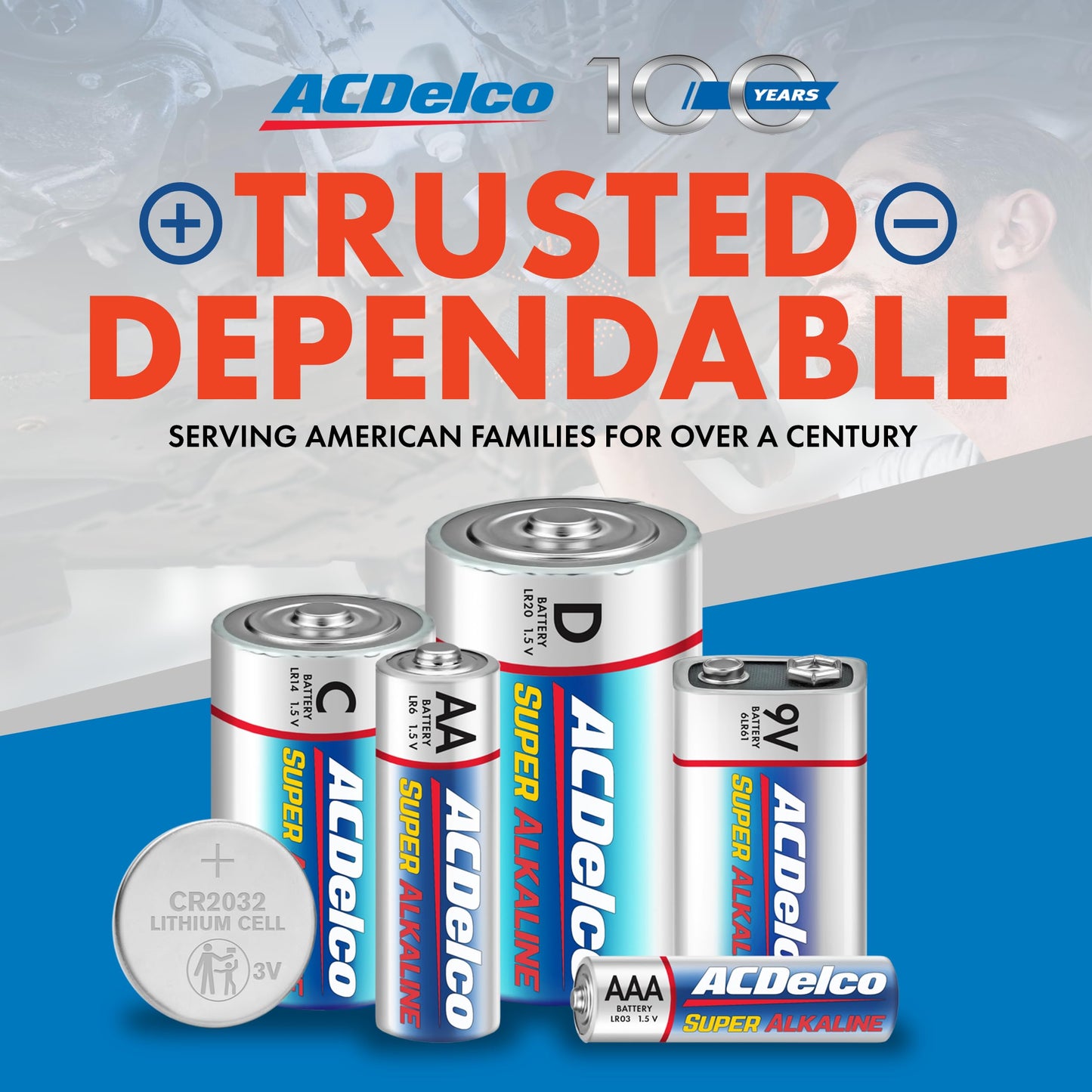 ACDelco 100-Count Double AA Batteries, Super Alkaline Battery, 10-Year Shelf Life, Reclosable Packaging - Available at All In One Marketplace Canada