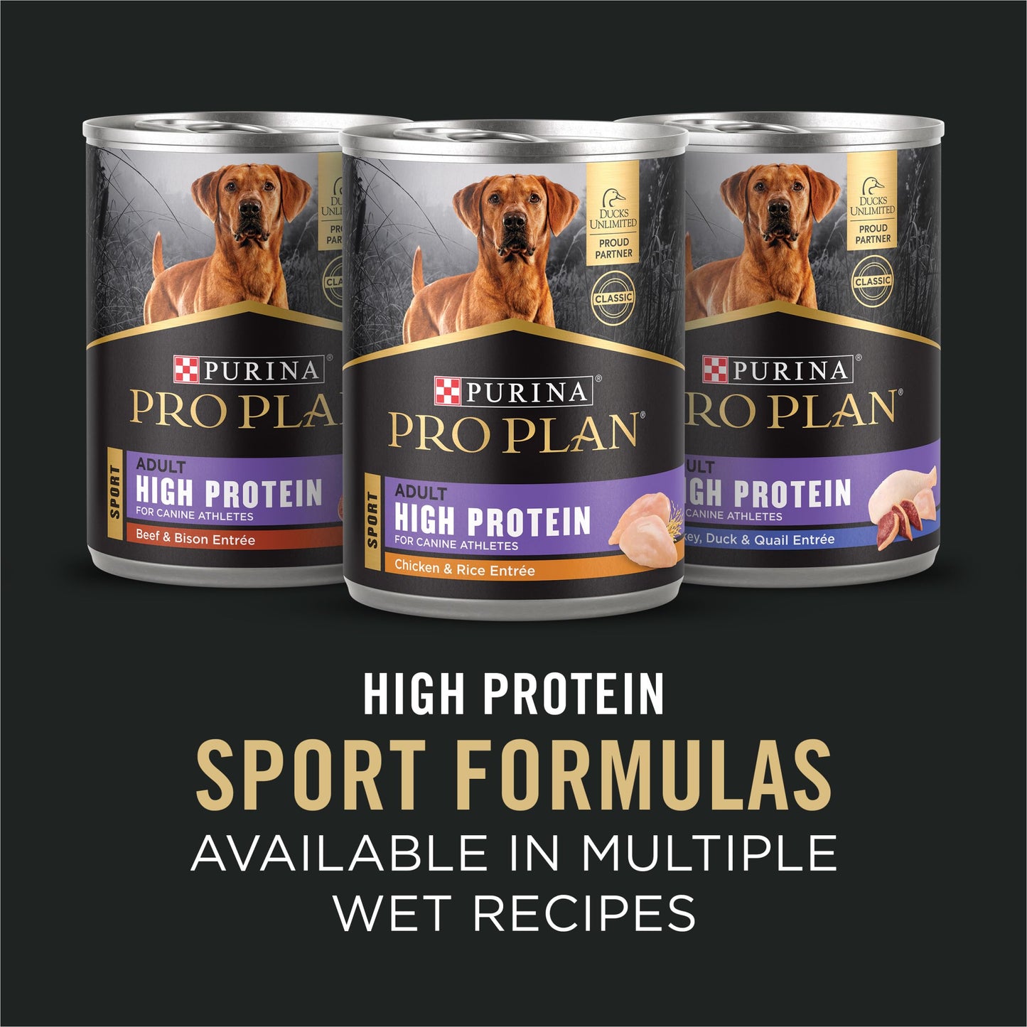 Purina Pro Plan Dry Dog Food, Sport, Performance 30/20 Salmon and Rice Formula, 33-Pound Bag, Pack of 1 Pro Plan