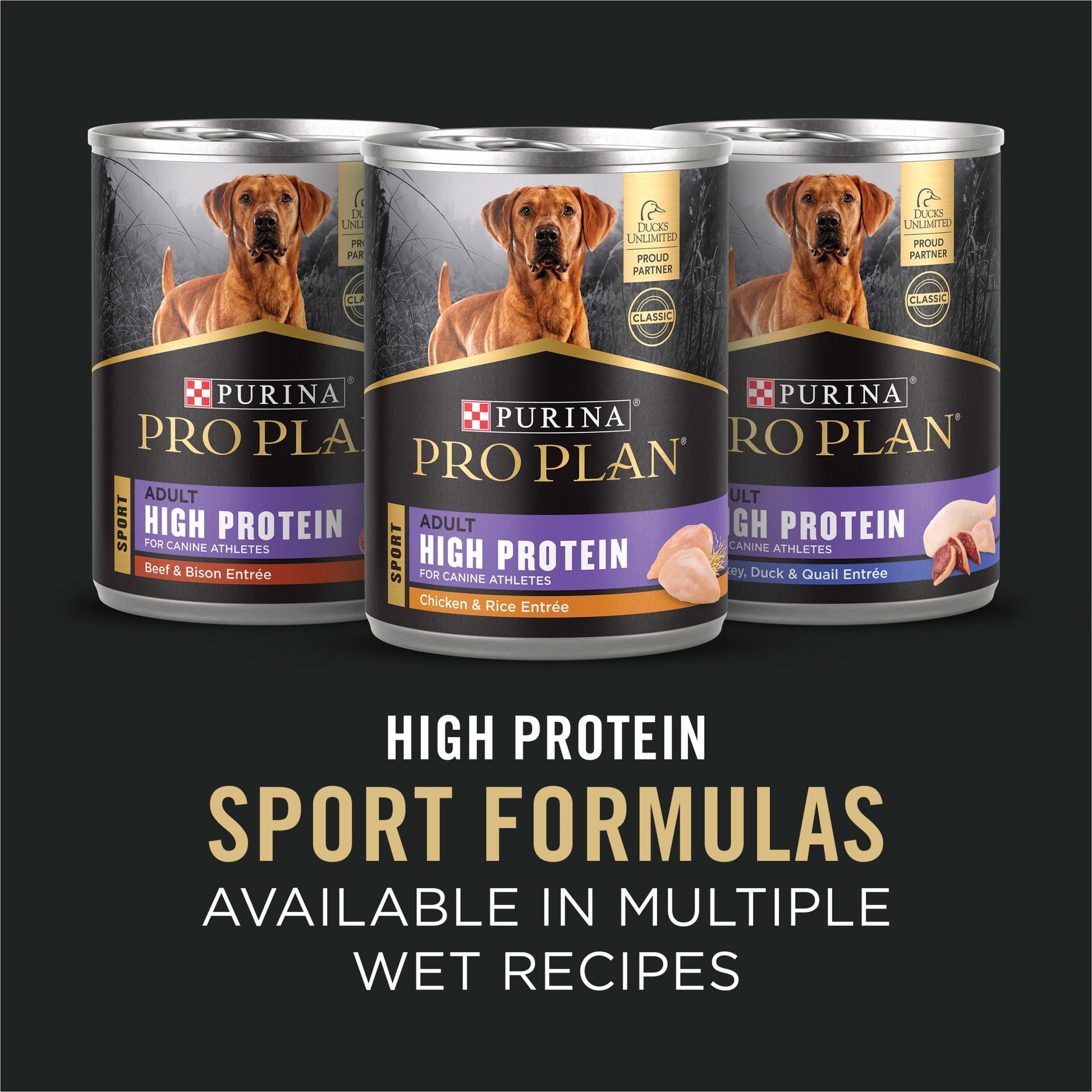Purina Pro Plan Dry Dog Food, Sport, Performance 30/20 Salmon and Rice Formula, 33-Pound Bag, Pack of 1 Pro Plan