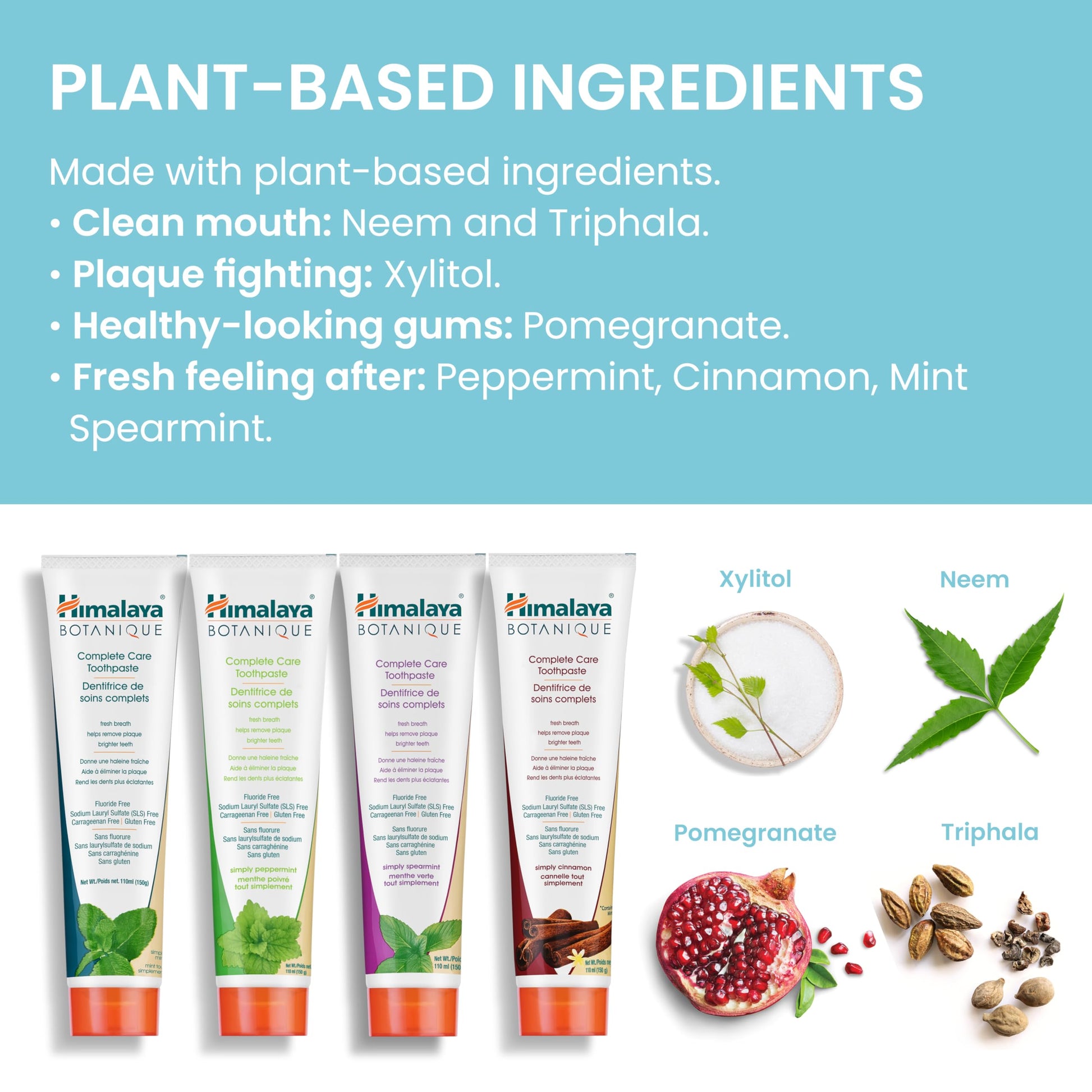 Himalaya Botanique Complete Care Toothpaste, for Brighter Teeth and Fresh Breath, Natural, Fluoride-Free, SLS-Free, Carrageenan-Free & Gluten-Free, Vegan, 150 g (5.29 oz), Variety 4 Pack - Available at All In One Marketplace Canada