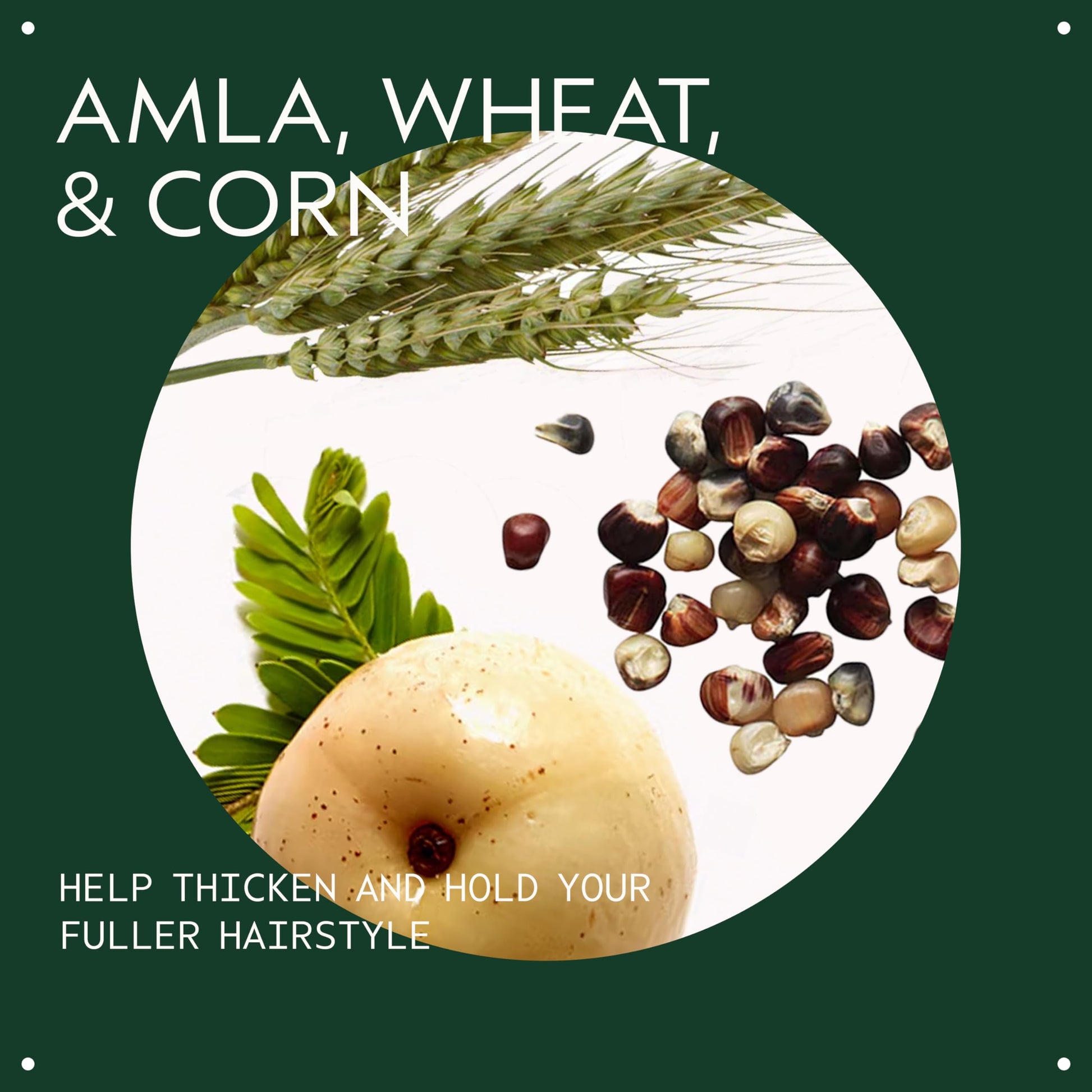 Aveda Thickening Tonic | Instantly Thickens Hair | for Thin and Fine Hair | with Certified Organic Amla, 100ml Aveda