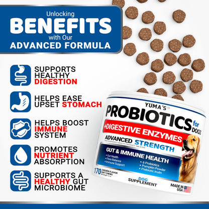 Probiotics for Dogs - 170 Chews - Helps Relieve Diarrhea, Gas & Allergies, Constipation - Dog Probiotics - Digestive & Immune Support - Prebiotics & Digestive Enzymes - Gut Health Chewable Supplement