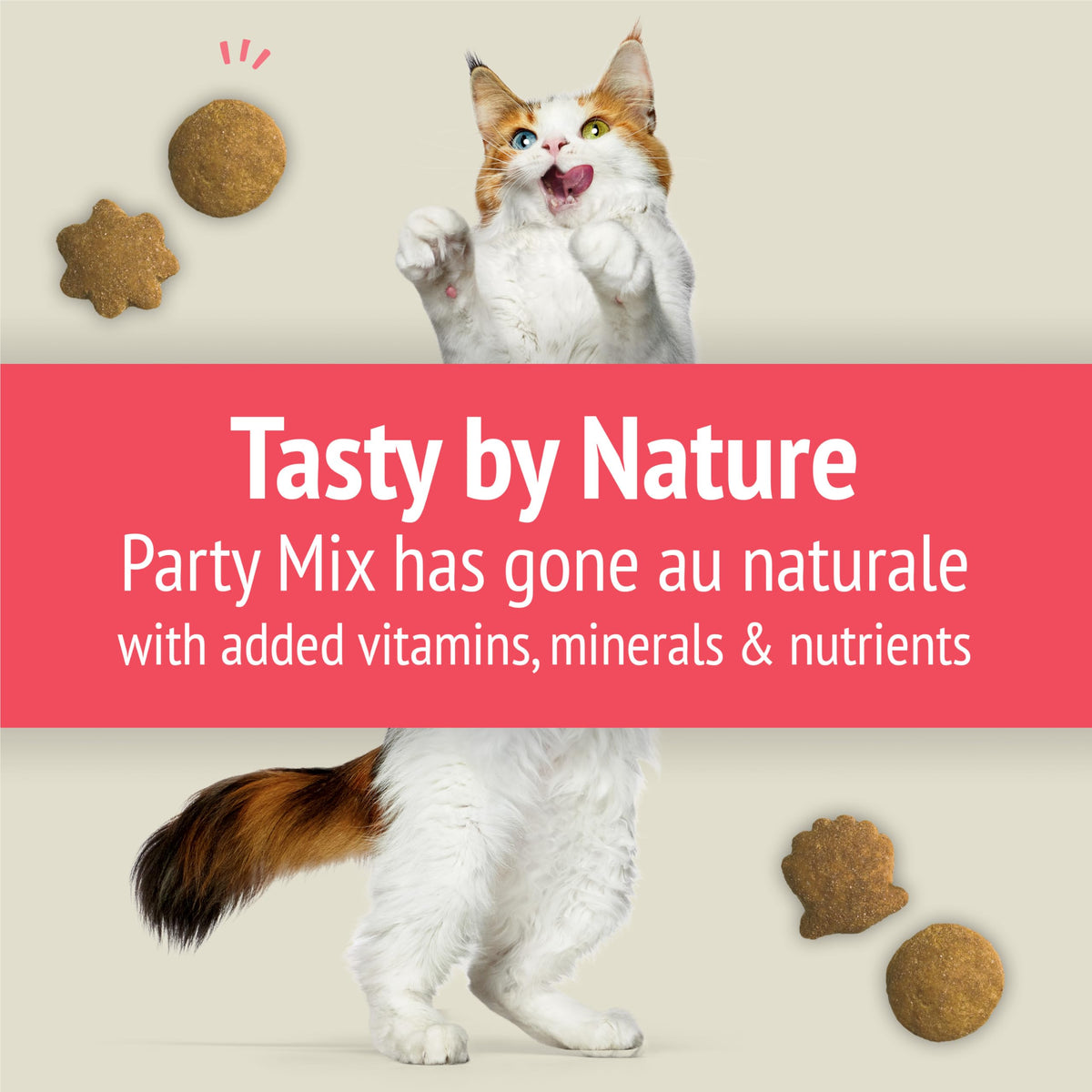 Friskies Party Mix Naturals Cat Treats, Seaside Crunch Fish 510g (3 Pack)