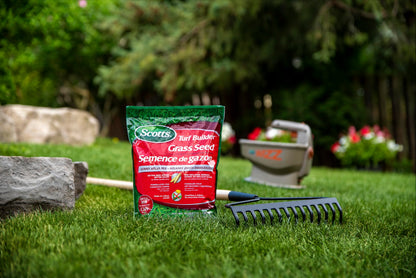 Scotts Turf Builder Grass Seed Sunny Areas Mix, 1kg (246 sq Meters / 2,648 sq feet Coverage) | Formula for overseeding or Growing a new, Thick Lawn in Sunny Areas Scotts