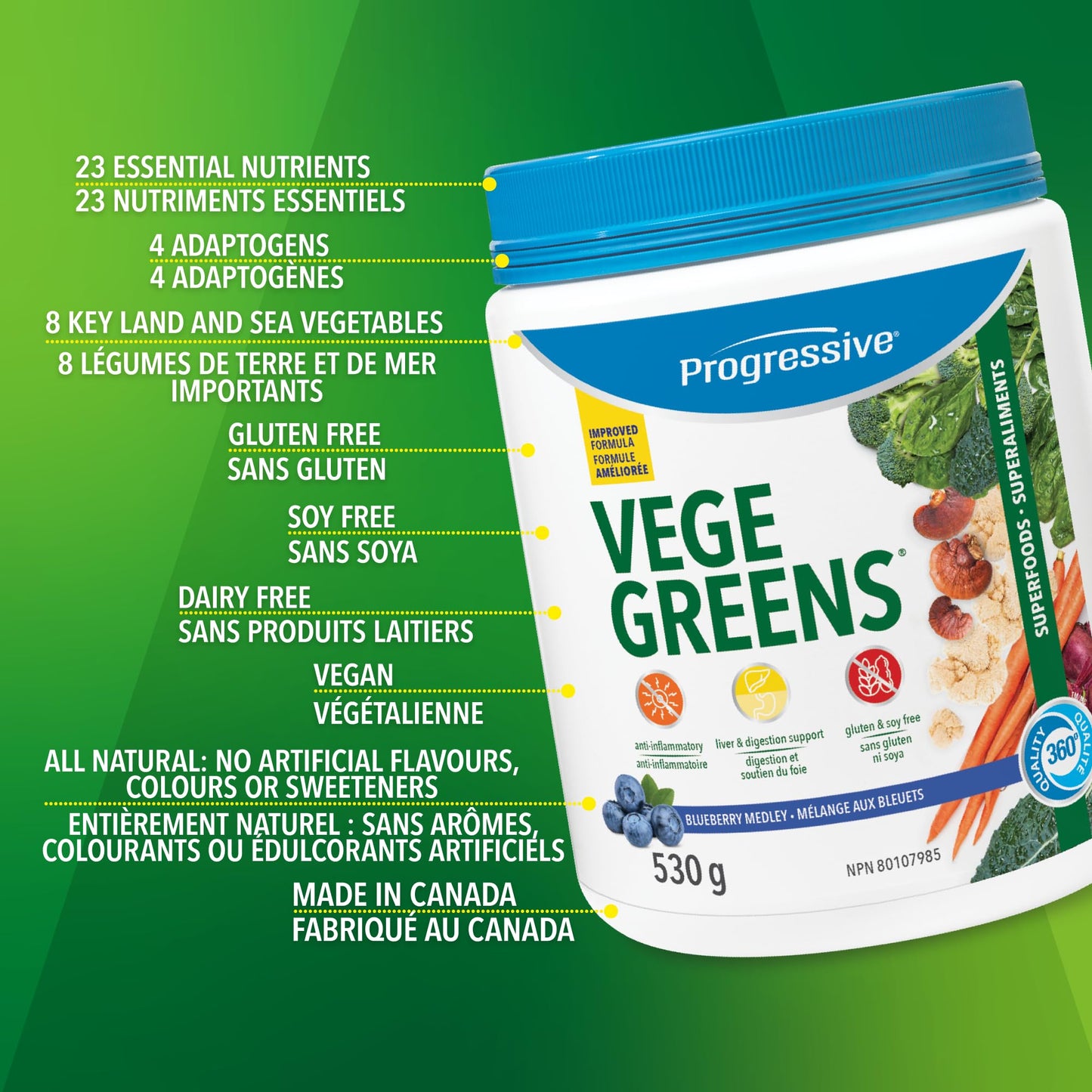 Progressive VegeGreens Blueberry Medley, Vegan Canadian-Made Superfoods + Daily Greens with 23 Whole Foods, Adaptogens, Anti-Inflammatory, Antioxidants & Digestive Support for Energy and Immunity, 530 g Progressive Health