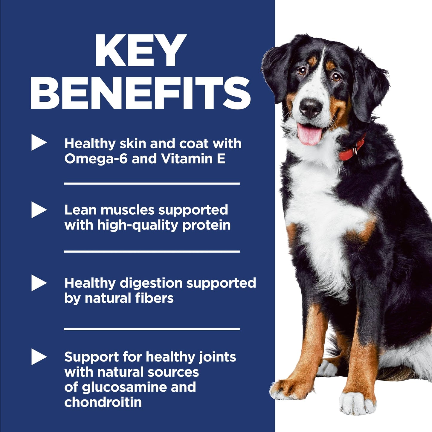 Hill's Science Diet Adult Large Breed Chicken & Barley Recipe Dry Dog Food 15.9 kg Bag 🍁 All In One Marketplace Canada