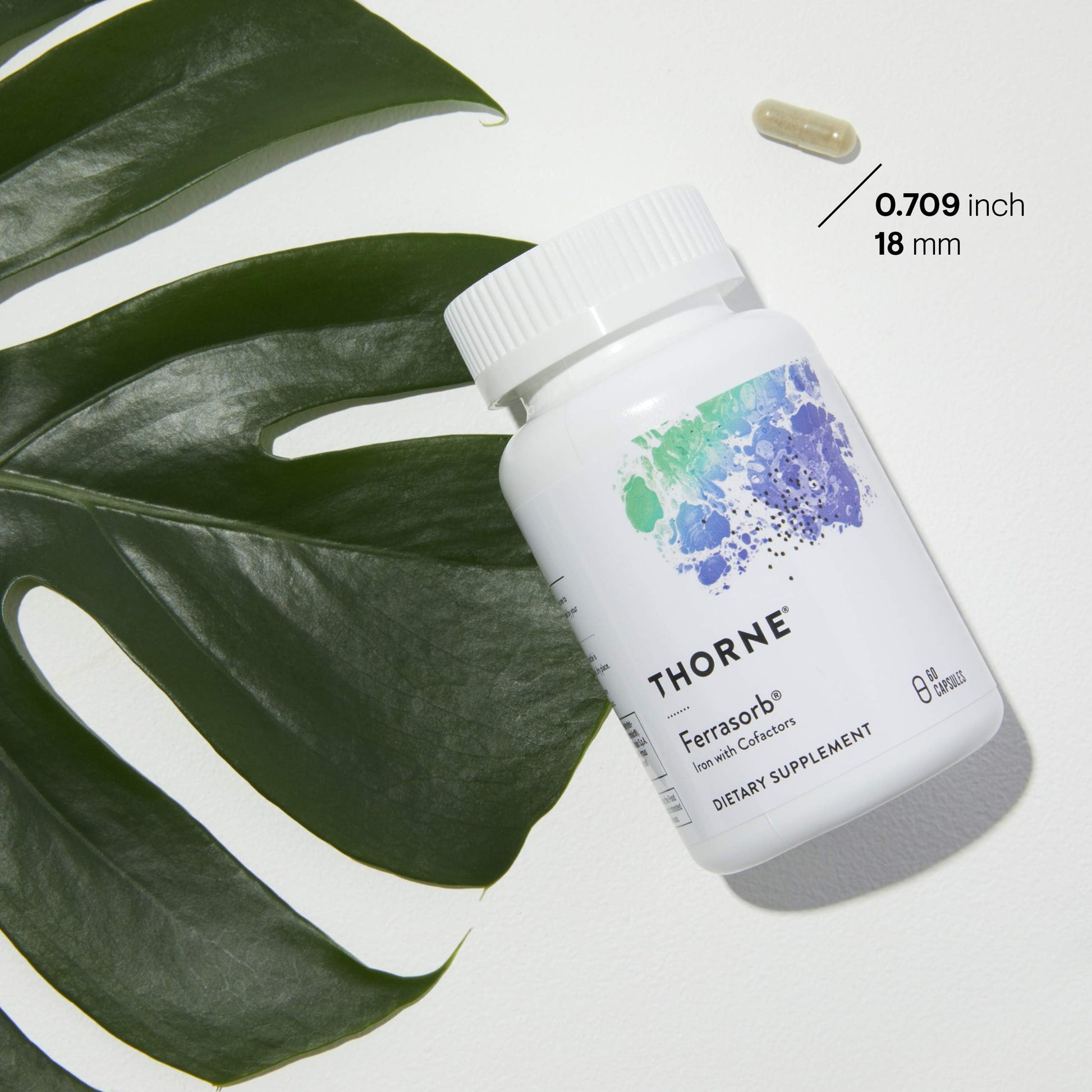 Thorne Ferrasorb - Complete Blood Support Formula with Iron, Folate, and B vitamins - 60 Capsules - 60 Servings - Available at All In One Marketplace Canada