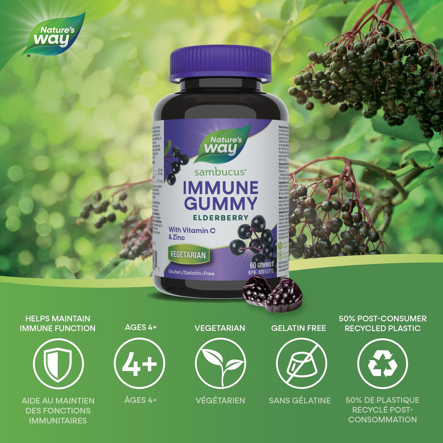 Nature's Way Sambucus Immune Support Gummies – Elderberry with Vitamin C & Zinc – Supports Immune Function and Relieves Cold & Flu Symptoms – Vegetarian, Gluten-Free for Adults & Kids 4+ – 60 Gummies - Available at All In One Marketplace Canada