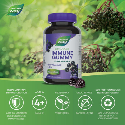 Nature's Way Sambucus Immune Support Gummies – Elderberry with Vitamin C & Zinc – Supports Immune Function and Relieves Cold & Flu Symptoms – Vegetarian, Gluten-Free for Adults & Kids 4+ – 60 Gummies - Available at All In One Marketplace Canada
