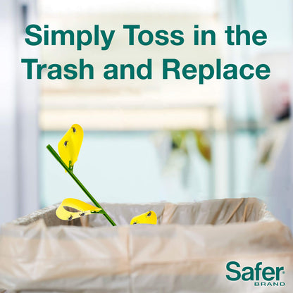 Safer's 07-2122CAN Houseplant Sticky Stake Insect Traps for Indoor Plants - Controls Fungus Gnats, Whiteflies, Midges, Thrips, Fruit Flies, and Black Flies - 12 Traps - Available at All In One Marketplace Canada