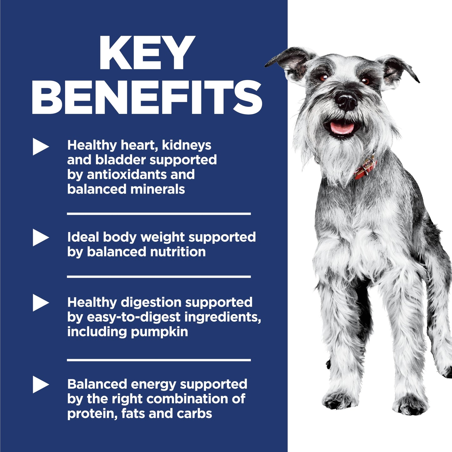 Hill's Science Diet Senior 7+ Small & Mini Chicken Meal, Barley & Brown Rice Recipe Dry Dog Food 2.04 kg Bag Hill's Science Diet