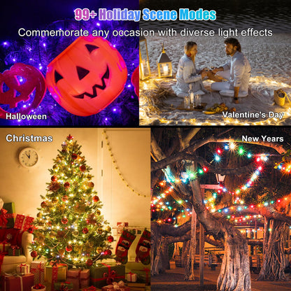 Electight Fairy Lights, 20M RGB Color Changing String Lights, Ultra Long 🍁 All In One Marketplace Canada