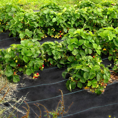 VEVOR 6FTx300FT Premium Weed Barrier Fabric Heavy Duty 2.4OZ, Woven Weed Control Fabric, High Permeability Good for Flower Bed, Geotextile Fabric for Underlayment, Polyethylene Ground Cover