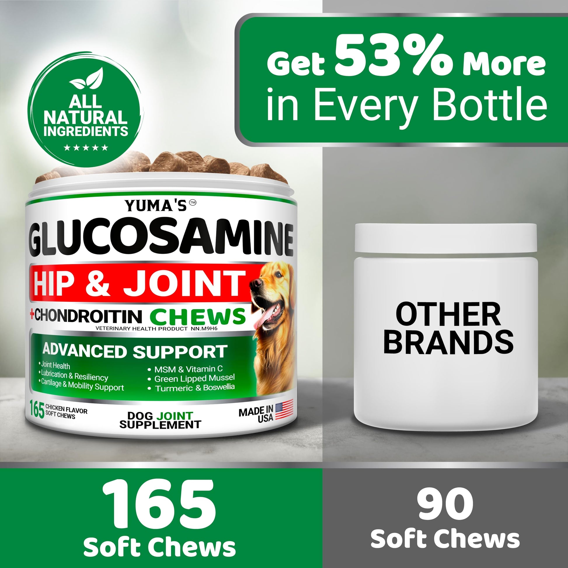 Glucosamine for Dogs - 165 Chews - Hip and Joint Supplement for Dogs - Glucosamine Chondroitin Chews - Joint Pain Relief Supplement with MSM - Advanced Health - Mobility Support - Made in USA