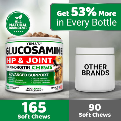Glucosamine for Dogs - 165 Chews - Hip and Joint Supplement for Dogs - Glucosamine Chondroitin Chews - Joint Pain Relief Supplement with MSM - Advanced Health - Mobility Support - Made in USA