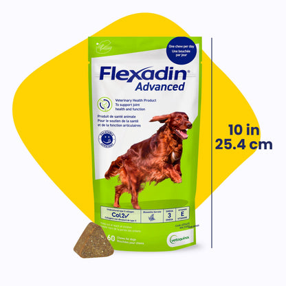 Vetoquinol Flexadin Advanced (with boswellia) – Dog Joint Supplement – One Chew a Day for Dogs - 60 Chews - Available at All In One Marketplace Canada