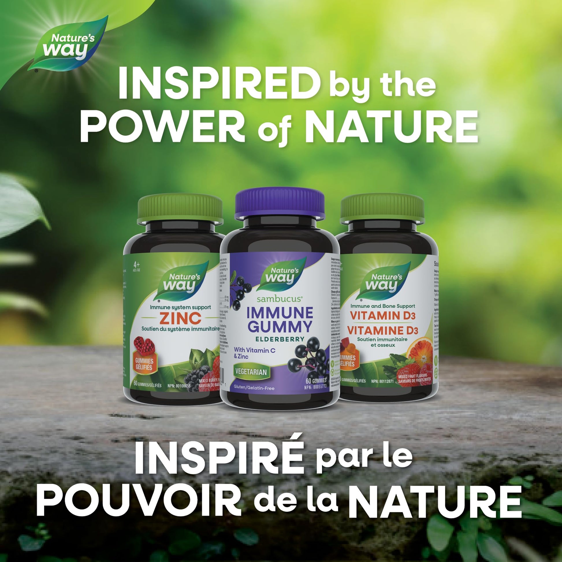 Nature's Way Sambucus Immune Support Gummies – Elderberry with Vitamin C & Zinc – Supports Immune Function and Relieves Cold & Flu Symptoms – Vegetarian, Gluten-Free for Adults & Kids 4+ – 60 Gummies - Available at All In One Marketplace Canada