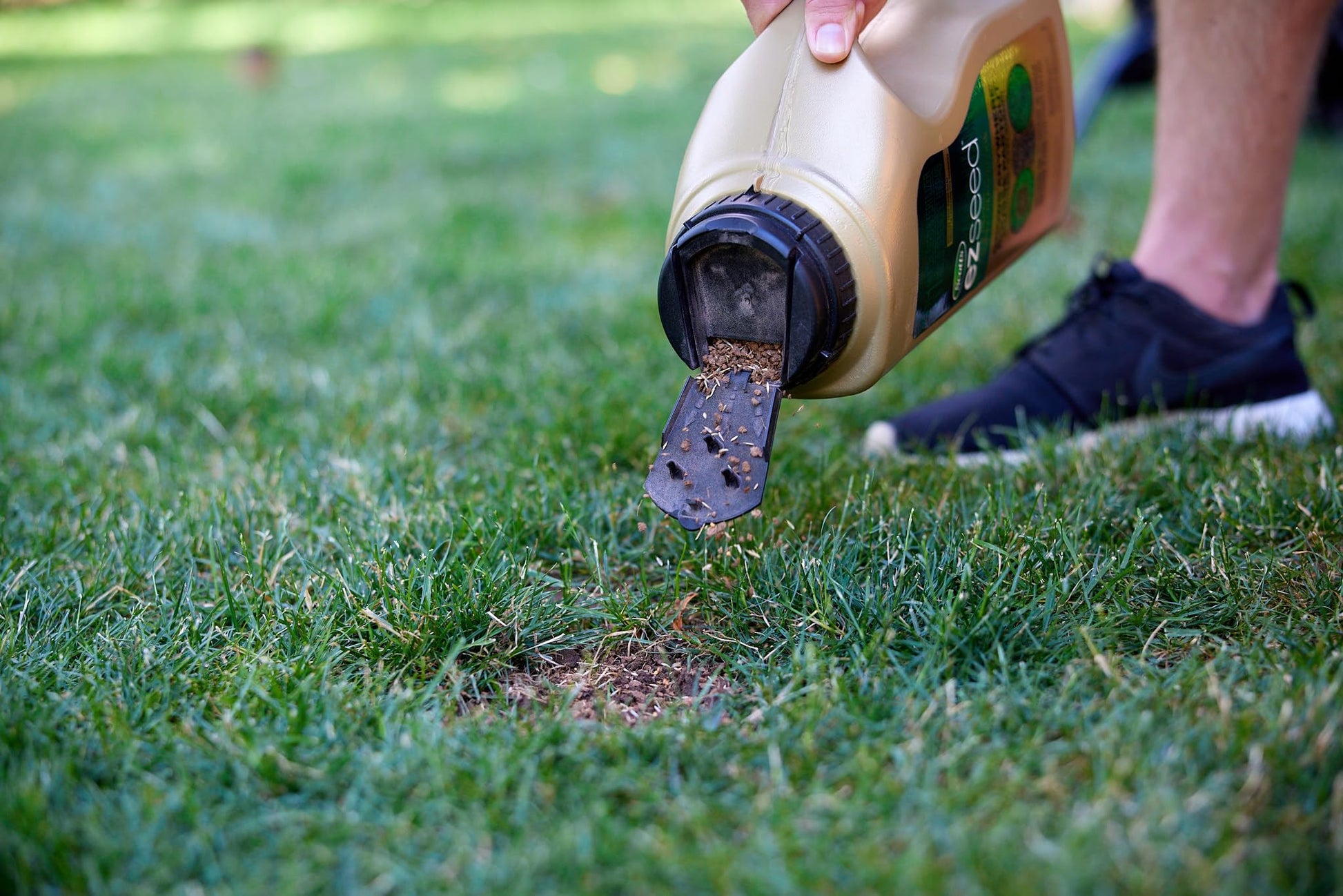 Scotts 0161 Ez Seed Patch & Repair, 1.7Kg (7.9 sq Meters / 85 sq feet Coverage) - Multipurpose Formula for Patch and Repair. Grows Anywhere, Grows Anywhere