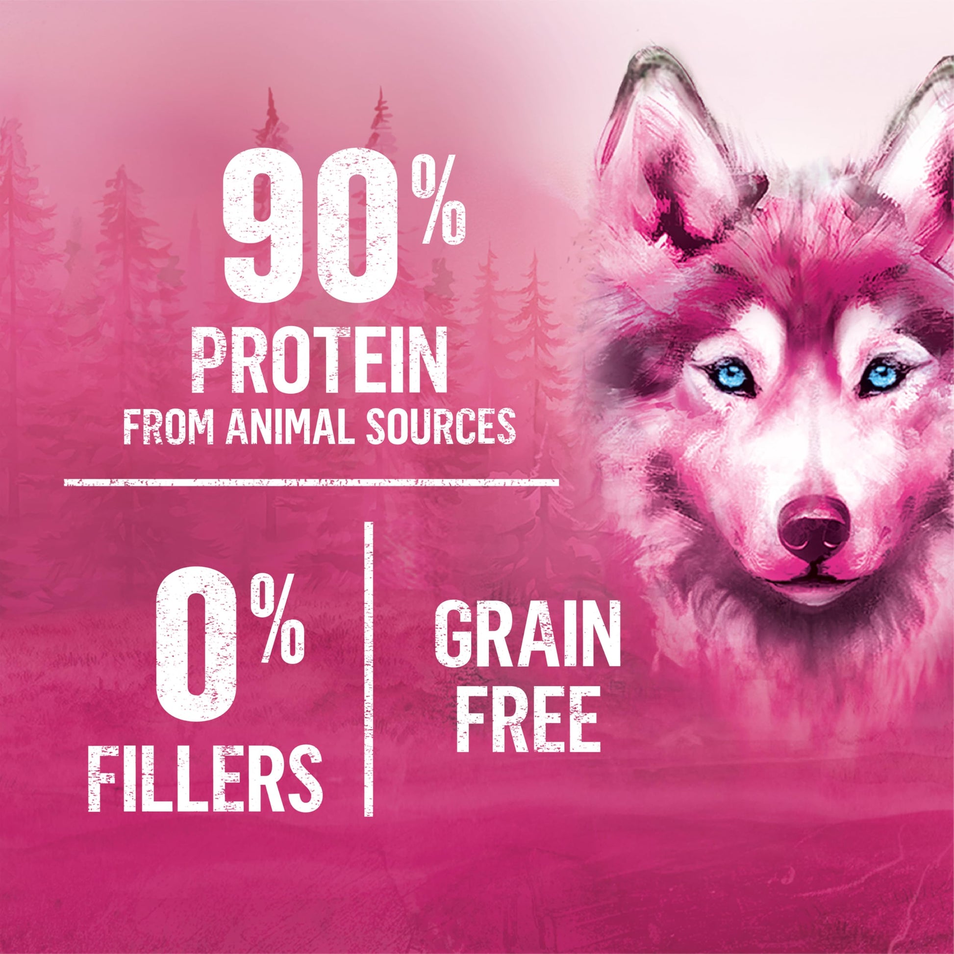 Beyond Wild Wet Dog Food, Ground Entrée Beef, Liver & Lamb (12 Pack) Beyond