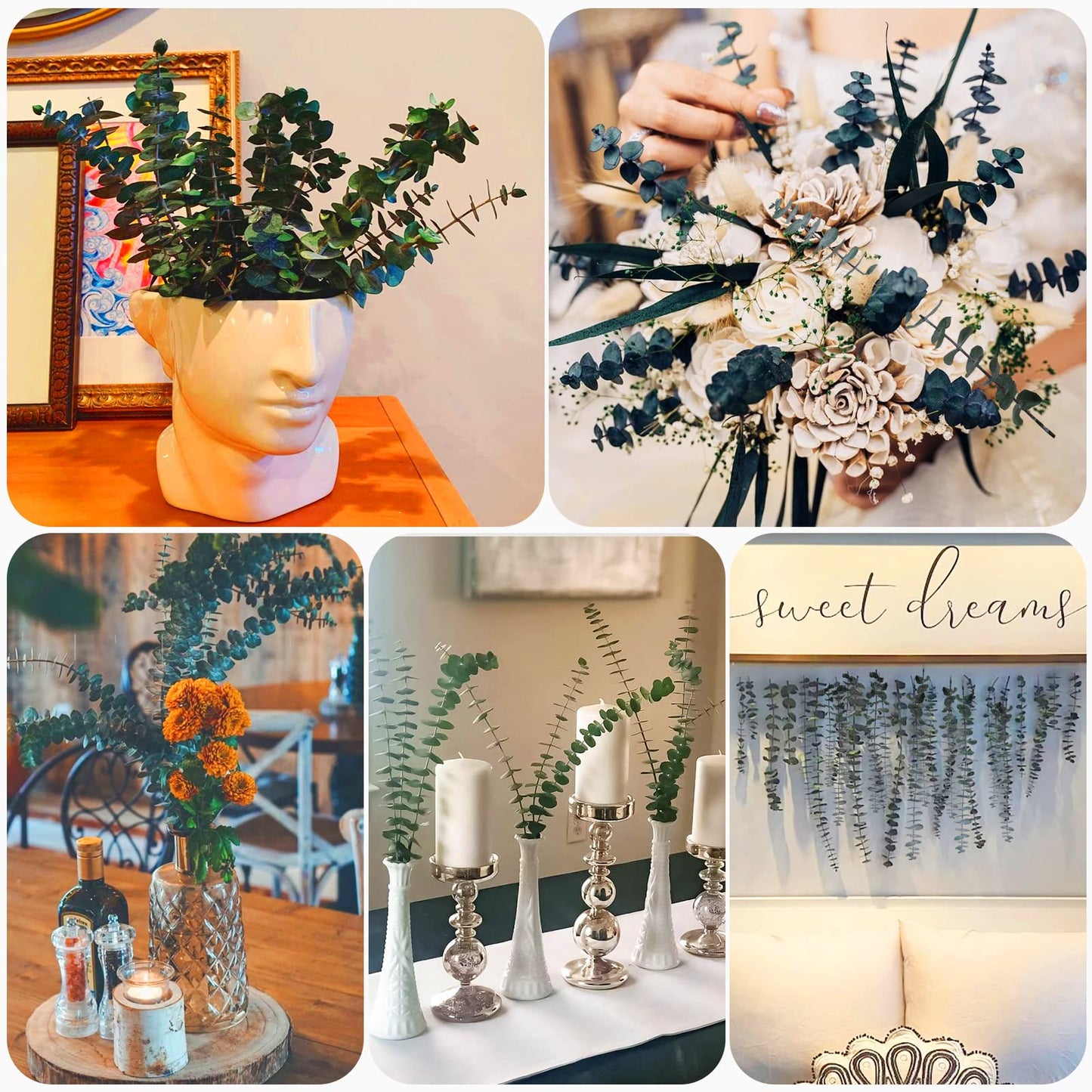 16Pcs-Preserved-Dried-Eucalyptus-Branches,17" Pure Natural Fresh Eucalyptus Plant for Shower, Real Eucalyptus Bunch for Vase Filler, Present for Mother, Dried Flowers Arrangement, Floral Home Decor - Available at All In One Marketplace Canada