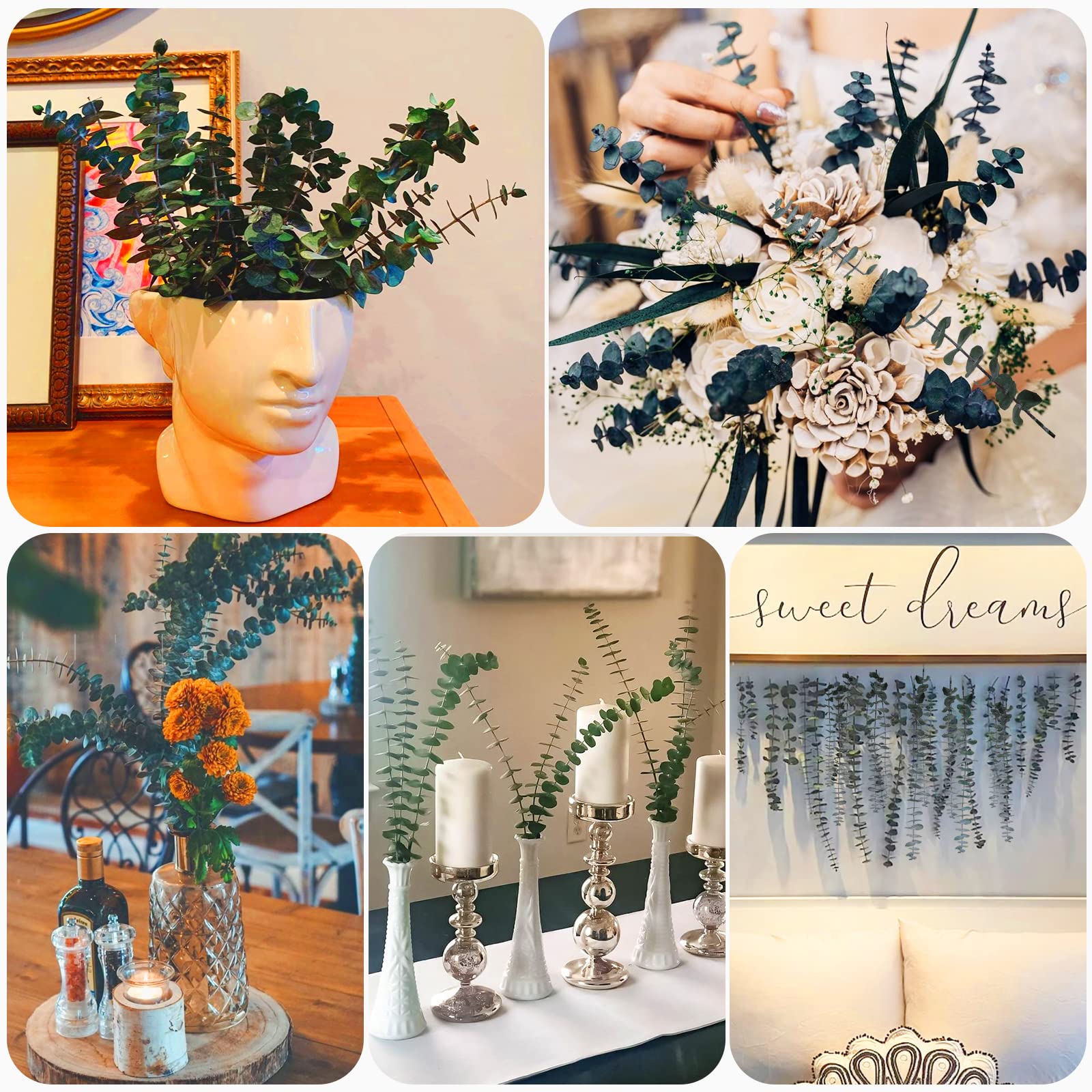 16Pcs-Preserved-Dried-Eucalyptus-Branches,17" Pure Natural Fresh Eucalyptus Plant for Shower, Real Eucalyptus Bunch for Vase Filler, Present for Mother, Dried Flowers Arrangement, Floral Home Decor - Available at All In One Marketplace Canada