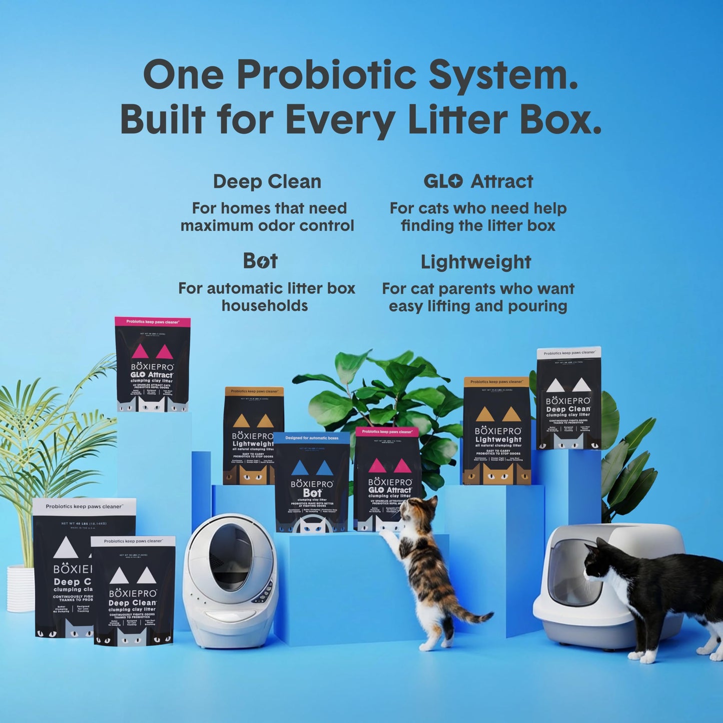 Boxie® Probiotic Cat Litter 40 Day Natural Odor Control, 16lb Clumping Kitty Litter (Clay)