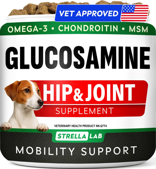 Glucosamine for Dogs w/Chondroitin - Hip & Joint Supplement for Dogs - MSM, Omega to Improve Mobility & Energy - Natural Joint Pain Relief - 120 Chews (Chicken)