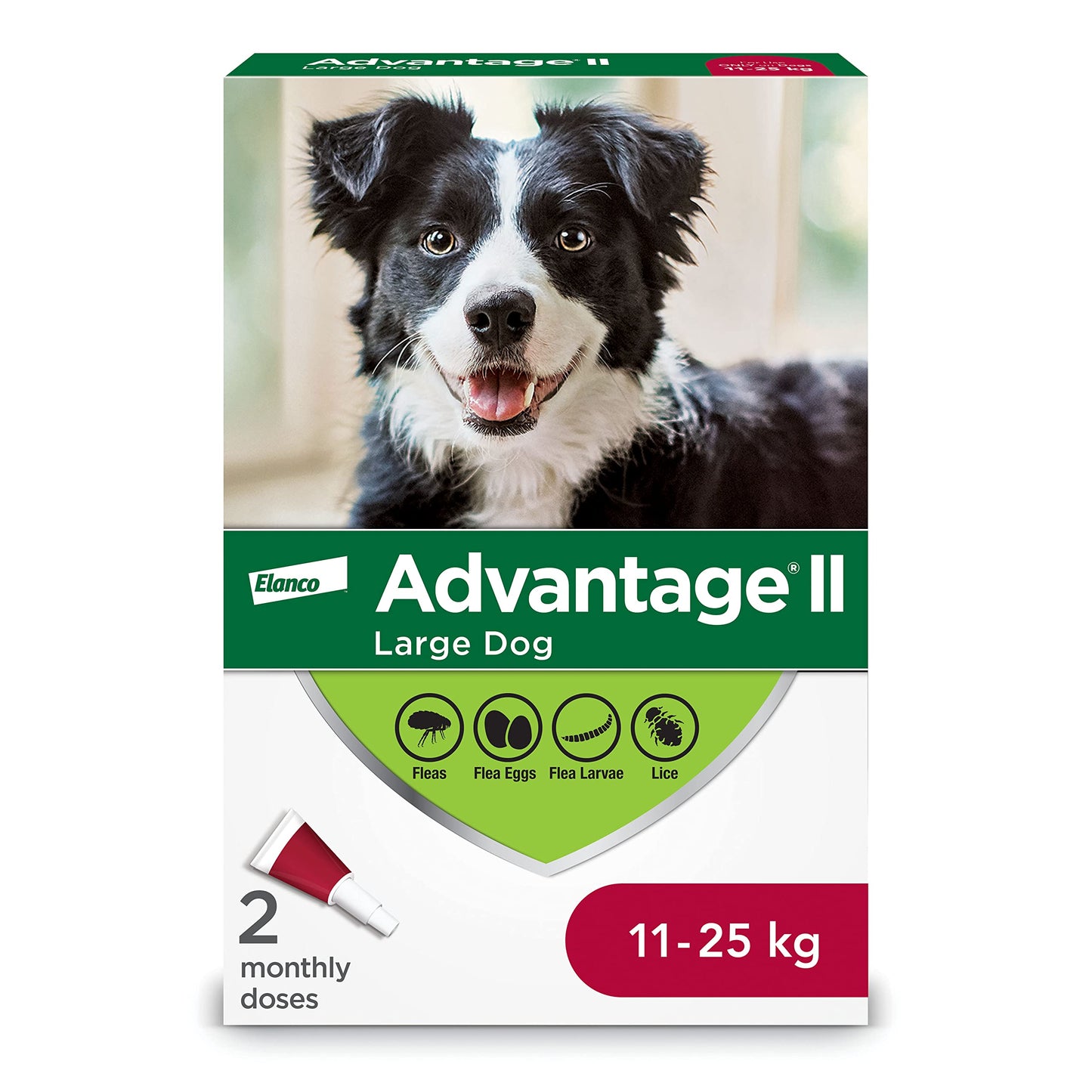 Advantage II - Flea Protection - Large Dog - Vet Recommended - 2-pack Advantage
