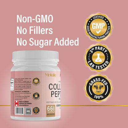 Hydrolyzed Collagen Peptides Powder (Type 1 & 3) 567g (66 Servings) – Grass-Fed Bovine, Unflavored, Made in Canada, Supports Skin, Joints, Hair & Nails - Available at All In One Marketplace Canada