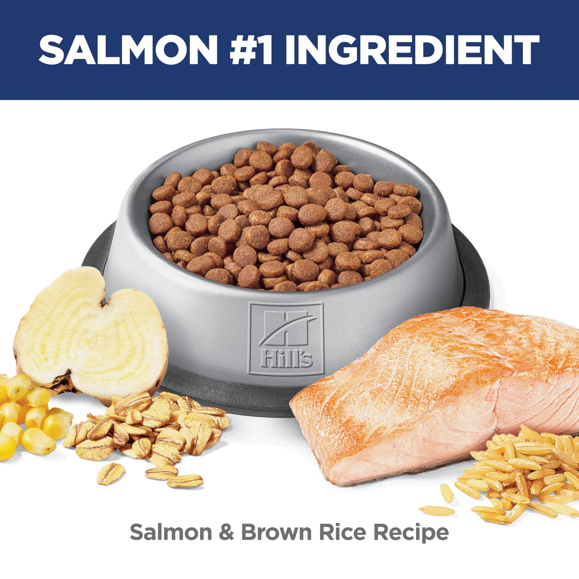 Hill's Science Diet Adult Perfect Digestion Salmon, Brown Rice & Whole Oats Recipe Dry Cat Food 5.89 kg Bag Hill's Science Diet