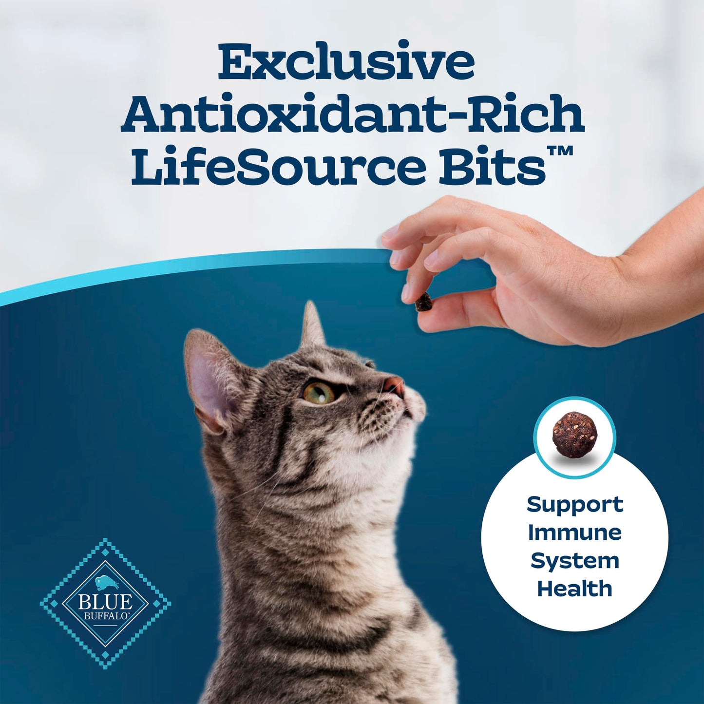 Blue Buffalo Tastefuls Chicken & Brown Rice Recipe Adult Dry Cat Food Hairball Control, Real Chicken First, Deliciously Healthy Natural Cat Food, Supports Digestive Care and Coat Health, 6.8kg Bag