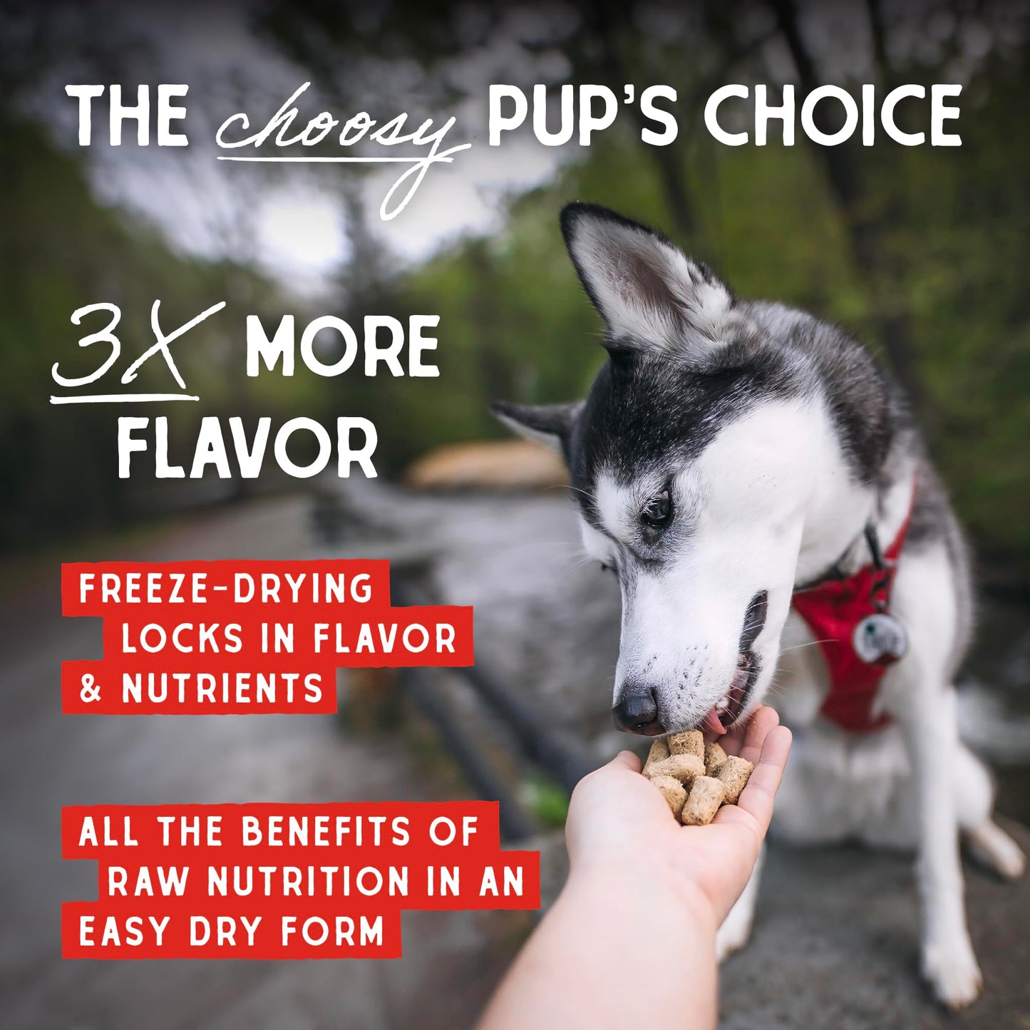 Stella & Chewy’s Freeze Dried Raw Super Beef Meal Mixer – Dog Food Topper for Small & Large Breeds – Grain Free, Protein Rich Recipe – 510g Bag