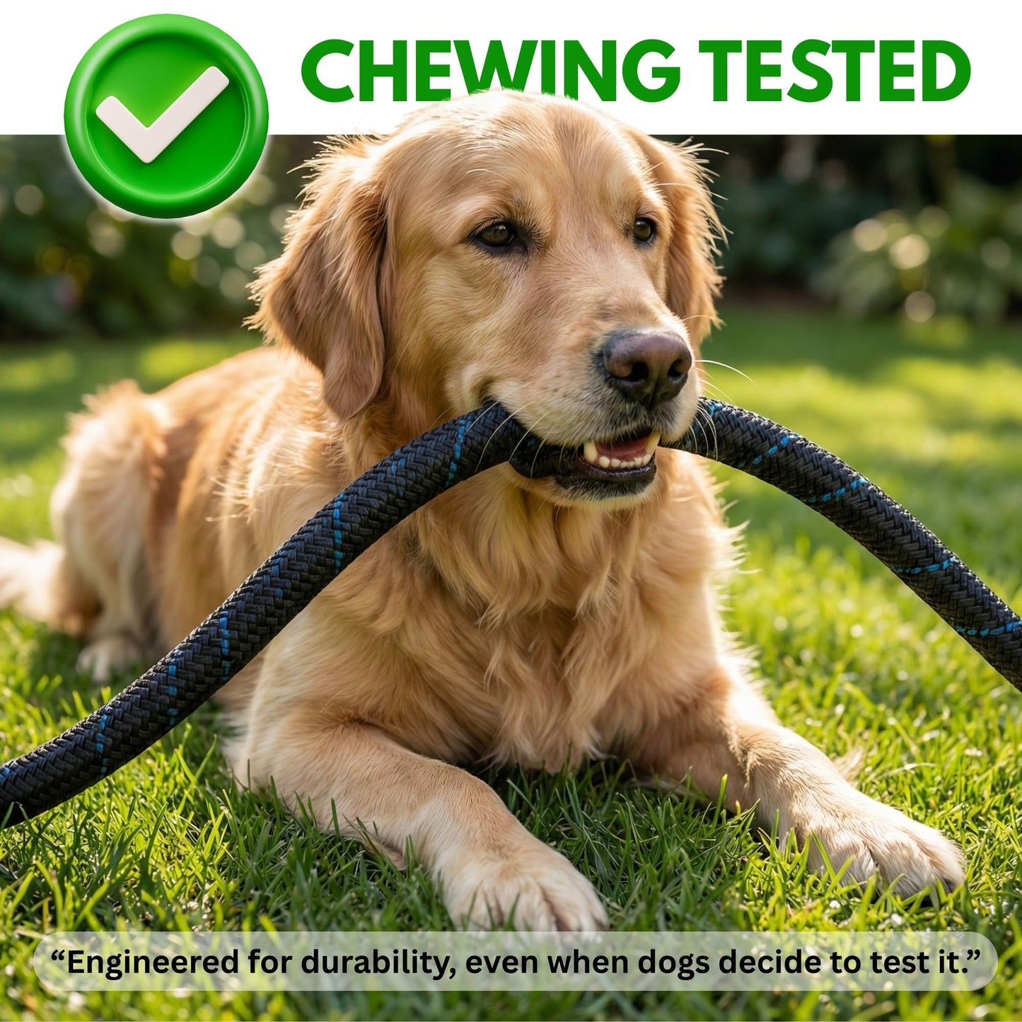 100ft Garden Hose with 10 Function Spray Nozzle, Expandable Garden Hose, 3/4" Easy Removal Solid Brass Connector, Flexible Water Hose, Extra Durable Material, Black&Blue by Luft - Available at All In One Marketplace Canada