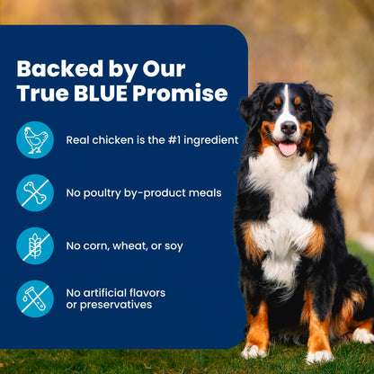 Blue Buffalo Life Protection Formula Chicken & Brown Rice Healthy Weight Large Breed Adult Dry Dog Food, Supports Immunity with LifeSource Bits, Promotes Healthy Lean Muscles,11.7kg/26 lbs